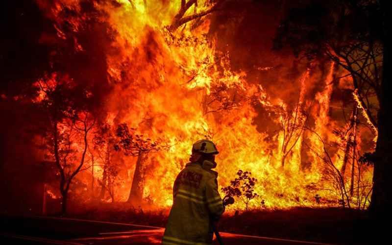 Otoritas Beri Penangguhan Pajak Bagi Korban Kebakaran Hutan