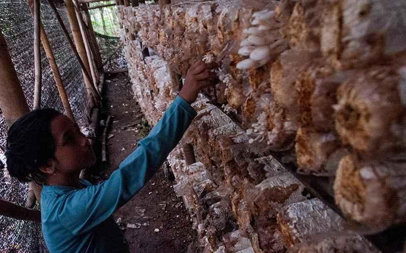 Ini Syarat Korban PHK dan Ibu Rumah Tangga Dapat Kredit Bunga 0%