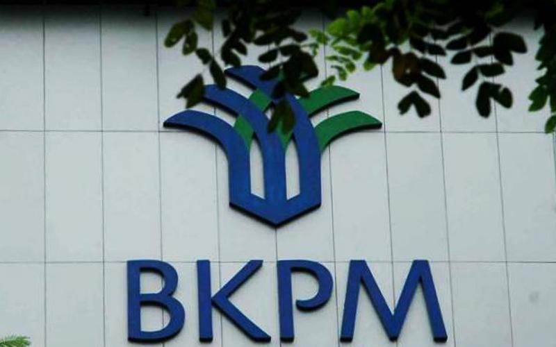 Investasi Loyo, BKPM Klaim Insentif Kurang 'Nendang'