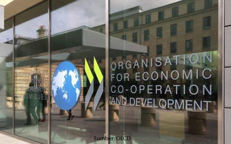 Ini Instrumen yang Efektif Bangun Kepastian Pajak Versi OECD