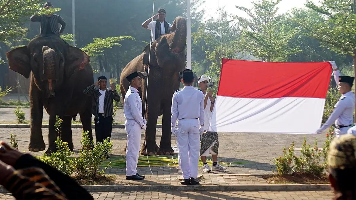 Petugas Paskibra bersiap mengibarkan bendera Merah Putih dengan latar belakang dua hewan gajah saat mengikuti upacara di Safari Beach Jateng, Kabupaten Batang, Jawa Tengah, Sabtu (17/8/2024). Upacara yang melibatkan koleksi satwa tersebut untuk memperingati HUT ke-79 RI serta menarik minat wisatawan. ANTARA FOTO/Harviyan Perdana Putra/wpa.